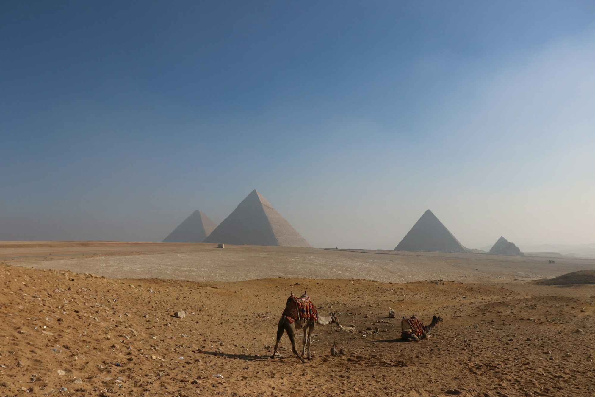 Giza & Nile • Egypt